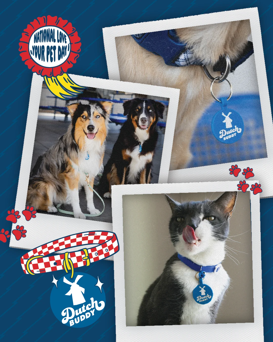 National Love Your Pet Day collage showing two dogs, a cat, and Dutch Buddy pet tags on blue background with paw prints.