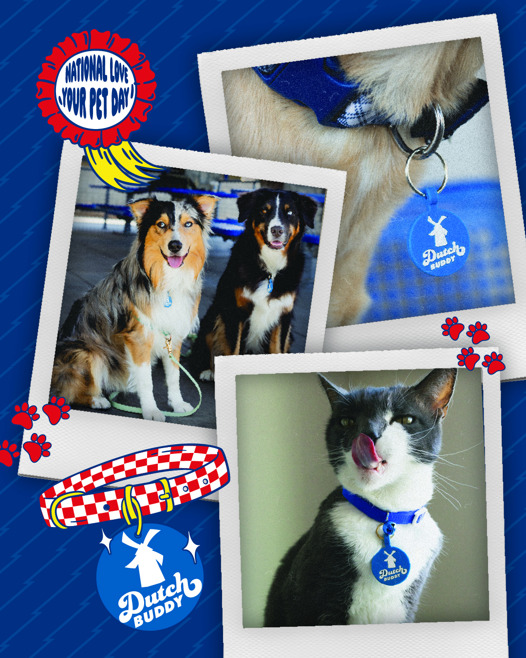 National Love Your Pet Day collage showing two dogs, a cat, and Dutch Buddy pet tags on blue background with paw prints.