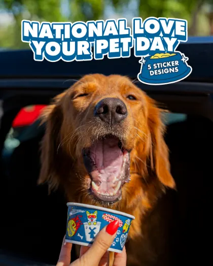 Happy golden retriever enjoying ice cream for National Love Your Pet Day, with promotional text and sticker designs.