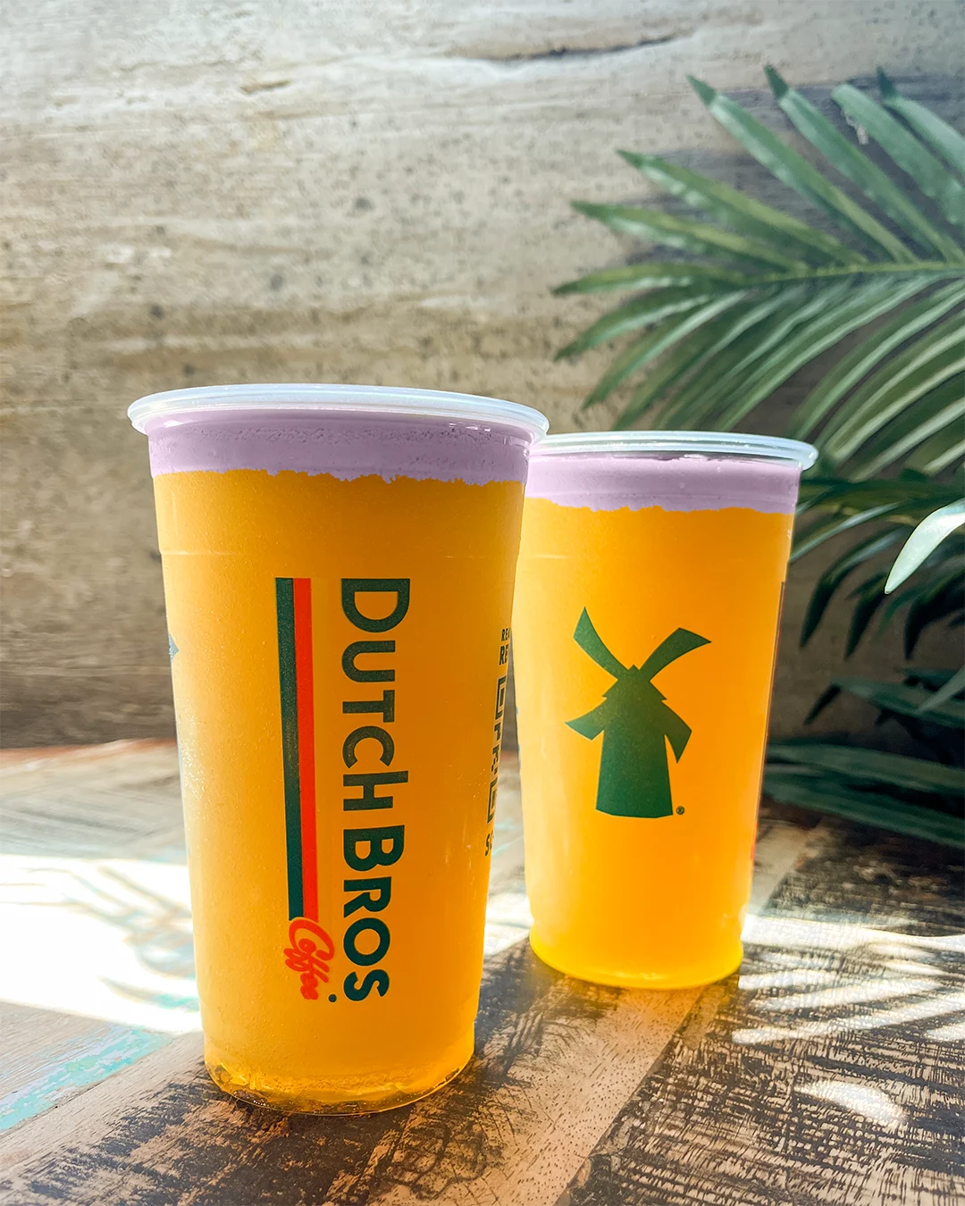 Two Dutch Bros cups of golden beer or tea with foam on top, displayed on wooden surface with palm fronds in background.
