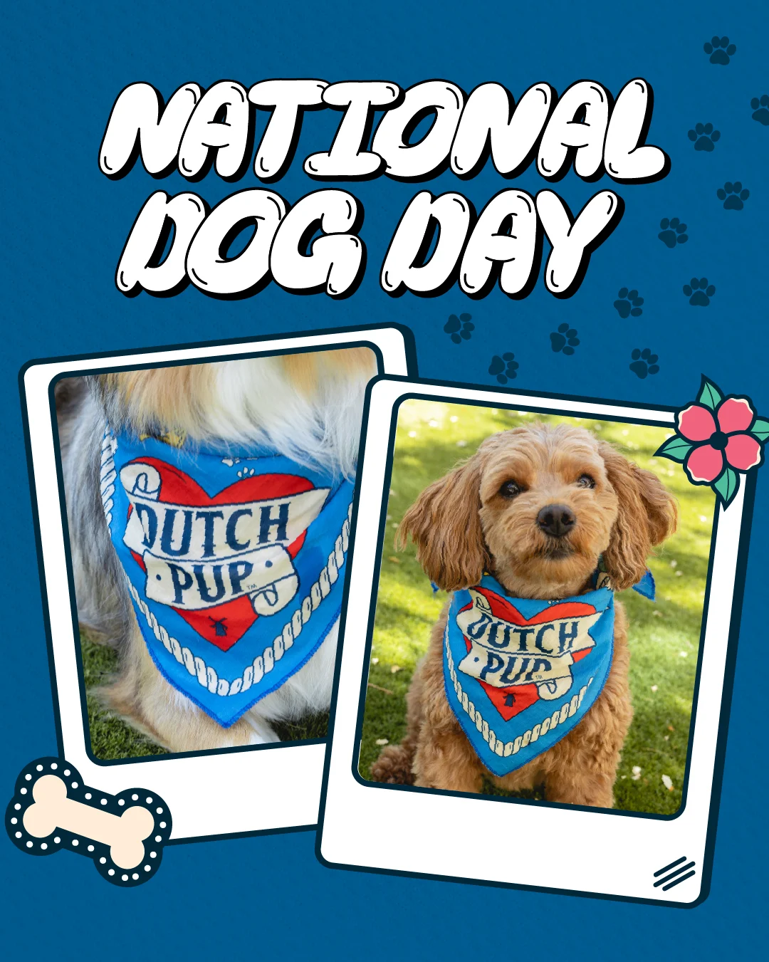 National Dog Day celebration featuring a brown dog wearing a blue "Dutch Pup" bandana against a blue background with paw prints.